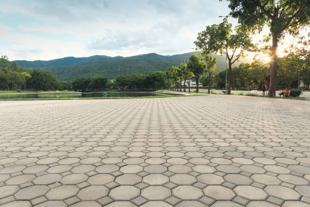 Best Concrete Paver Driveway  in Great Falls Crossing, VA